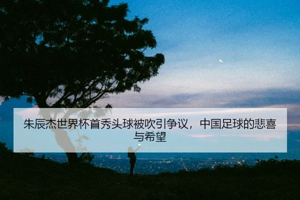 朱辰杰世界杯首秀头球被吹引争议，中国足球的悲喜与希望
