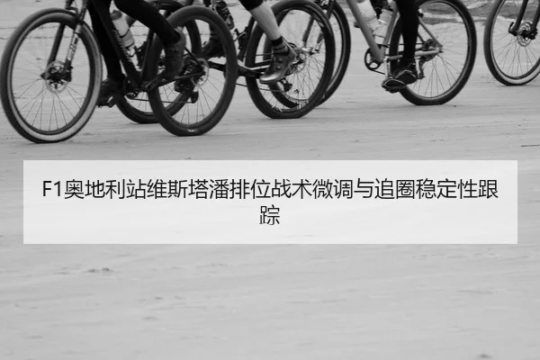 ao-di-li-zhan-wei-si-ta-pan-pai-wei-zhan-shu-wei-diao-yu-zhui-quan-wen-ding-xing-gen-zong-2-579.jpg